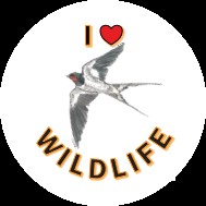 A Ride For Life I love Wildlife sticker