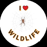 A Ride For Life I love Wildlife sticker